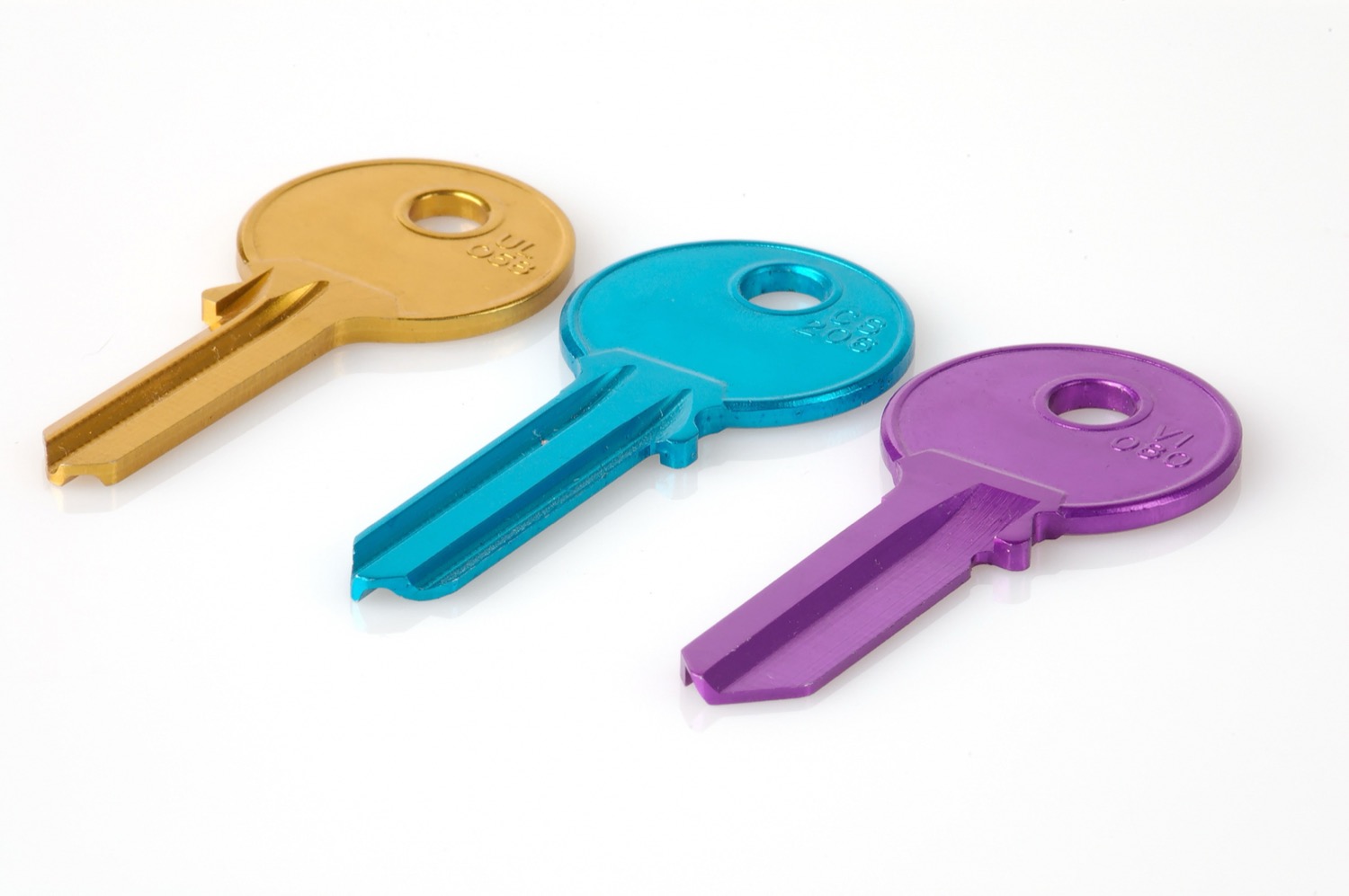 A set of keys, used in the guide to illustrate distributed custody